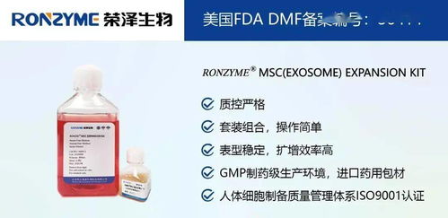 榮澤集團 市場調查成就斐然，穩健前行再譜新篇